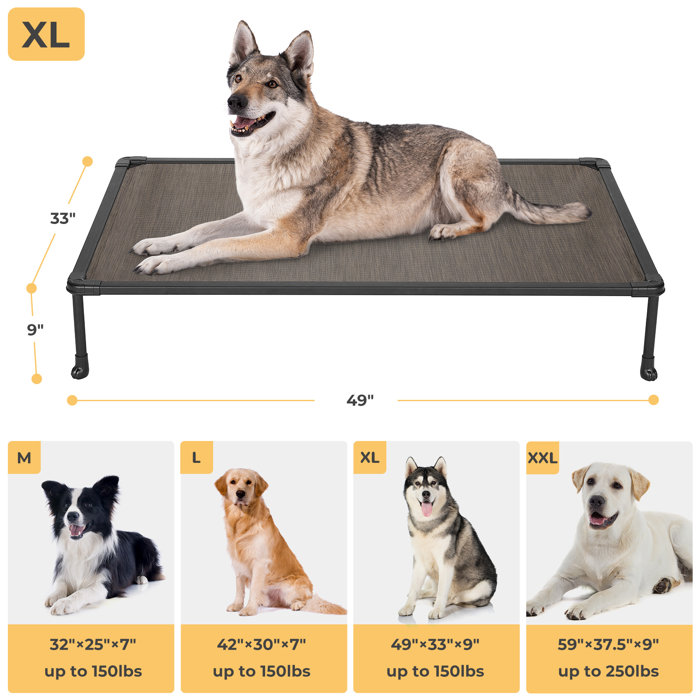 Tucker Murphy Pet™ Tucker Murphy Elevated Bed Chewproof Cooling Raised